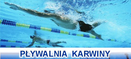Nauka pływania dla dorosłych Gdynia Karwiny, treningi triathlonowe